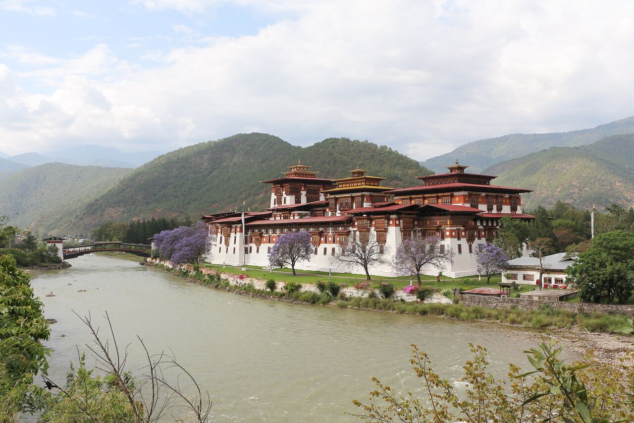 Punakha Dzong on the river in spring